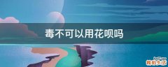 毒不可以用花呗吗
