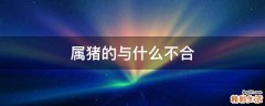 属猪的与什么不合