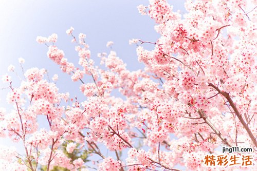 补肾壮阳的食物有哪些