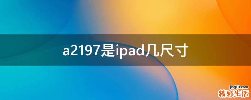 a2197是ipad几尺寸