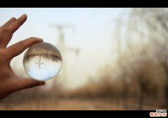 女性吃雪蛤有什么好处