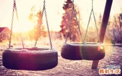 3 二歧根莲花根