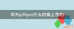华为p30pro什么时候上市的
