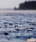 护肝按摩什么穴位