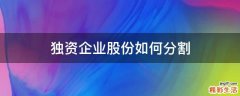 独资企业股份如何分割