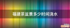 福建茶盆景多少时间浇水