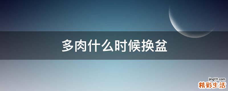 多肉什么时候换盆