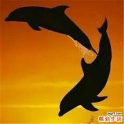鼻窦炎后遗症