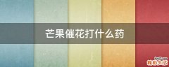 芒果催花打什么药