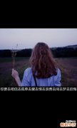 2 垂柳