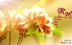 孕妇感冒可以喝绿茶吗