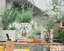 针刺配中药治疗小舞蹈病