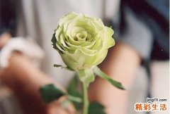 如何促进女性荷尔蒙