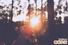 早上可以空腹吃的水果