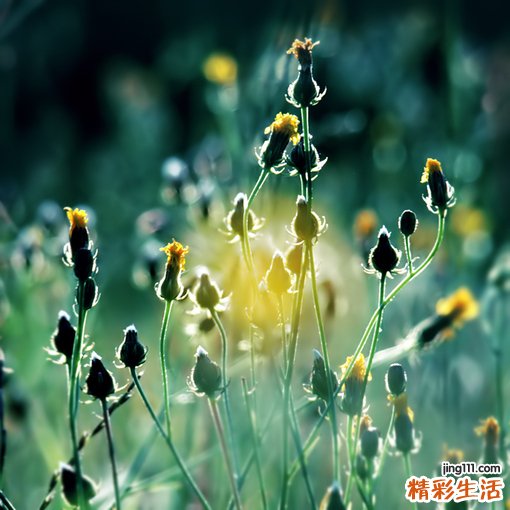 整形手术后的注意事项