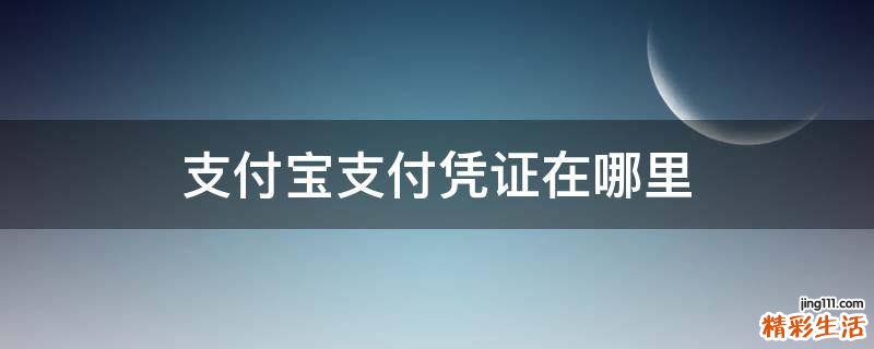 支付宝支付凭证在哪里