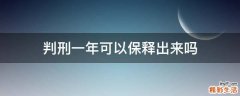 判刑一年可以保释出来吗