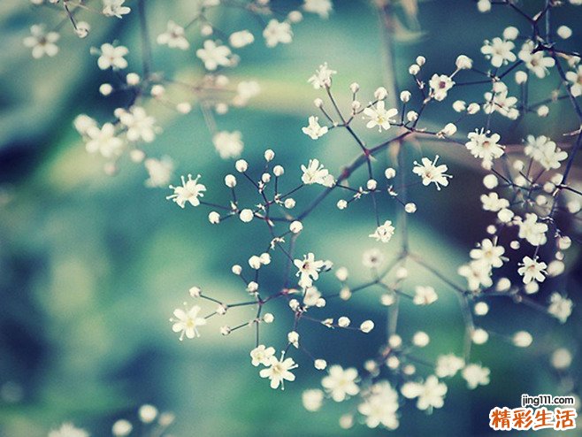 江苏小年的注意事项