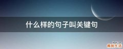 什么样的句子叫关键句