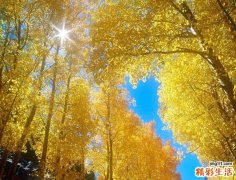 浅析青光眼的早期六大现象