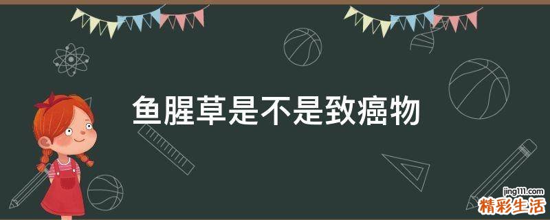 鱼腥草是不是致癌物