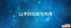 山芋的功效与作用