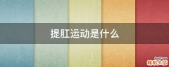 提肛运动是什么
