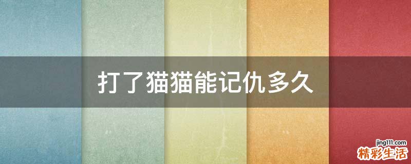 打了猫猫能记仇多久
