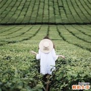 春季乙肝病人怎么吃
