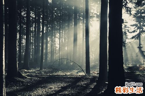 过敏按摩什么穴位