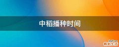 中稻播种时间