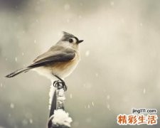 脓疱疮的护理方法
