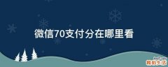 微信7.0支付分在哪里看