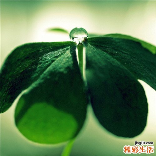 瑞典研究员:试管婴儿易患脑瘫