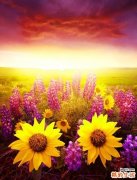 小儿急性胃肠炎