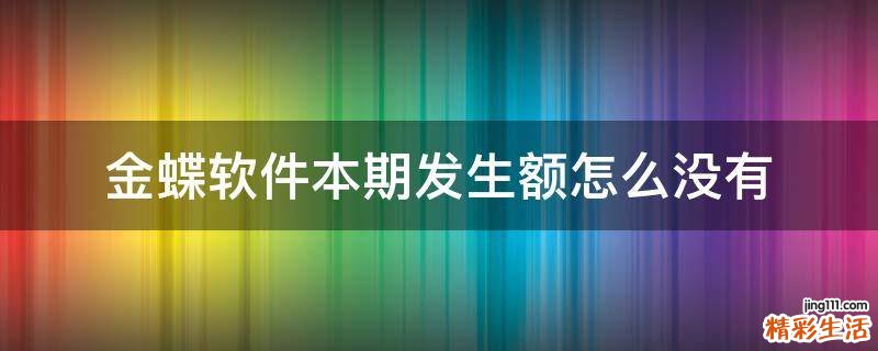 金蝶软件本期发生额怎么没有