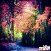 Shy-Drager综合征