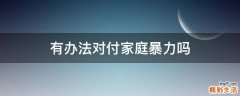 有办法对付家庭暴力吗