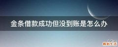 金条借款成功但没到账是怎么办