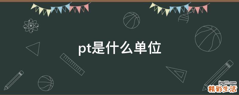 pt是什么单位