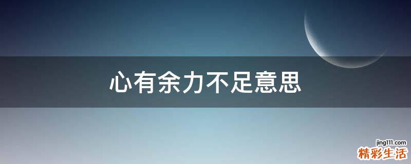 心有余力不足意思