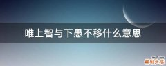 唯上智与下愚不移什么意思