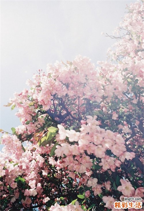 滥用抗生素成肾脏新杀手