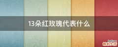 13朵红玫瑰代表什么