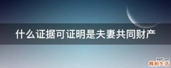 什么证据可证明是夫妻共同财产