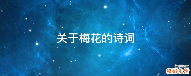 关于梅花的诗词