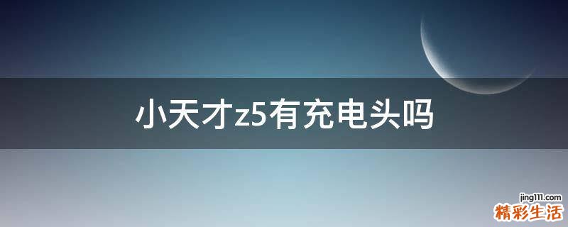 小天才z5有充电头吗