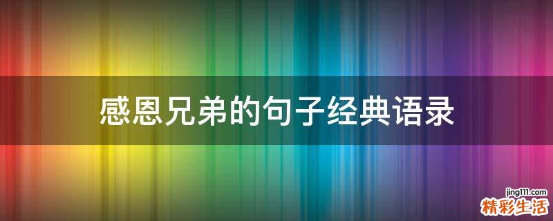 感恩兄弟的句子经典语录
