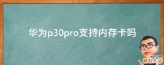 华为p30pro支持内存卡吗