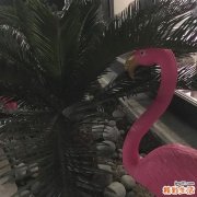 胃痛按摩什么穴位